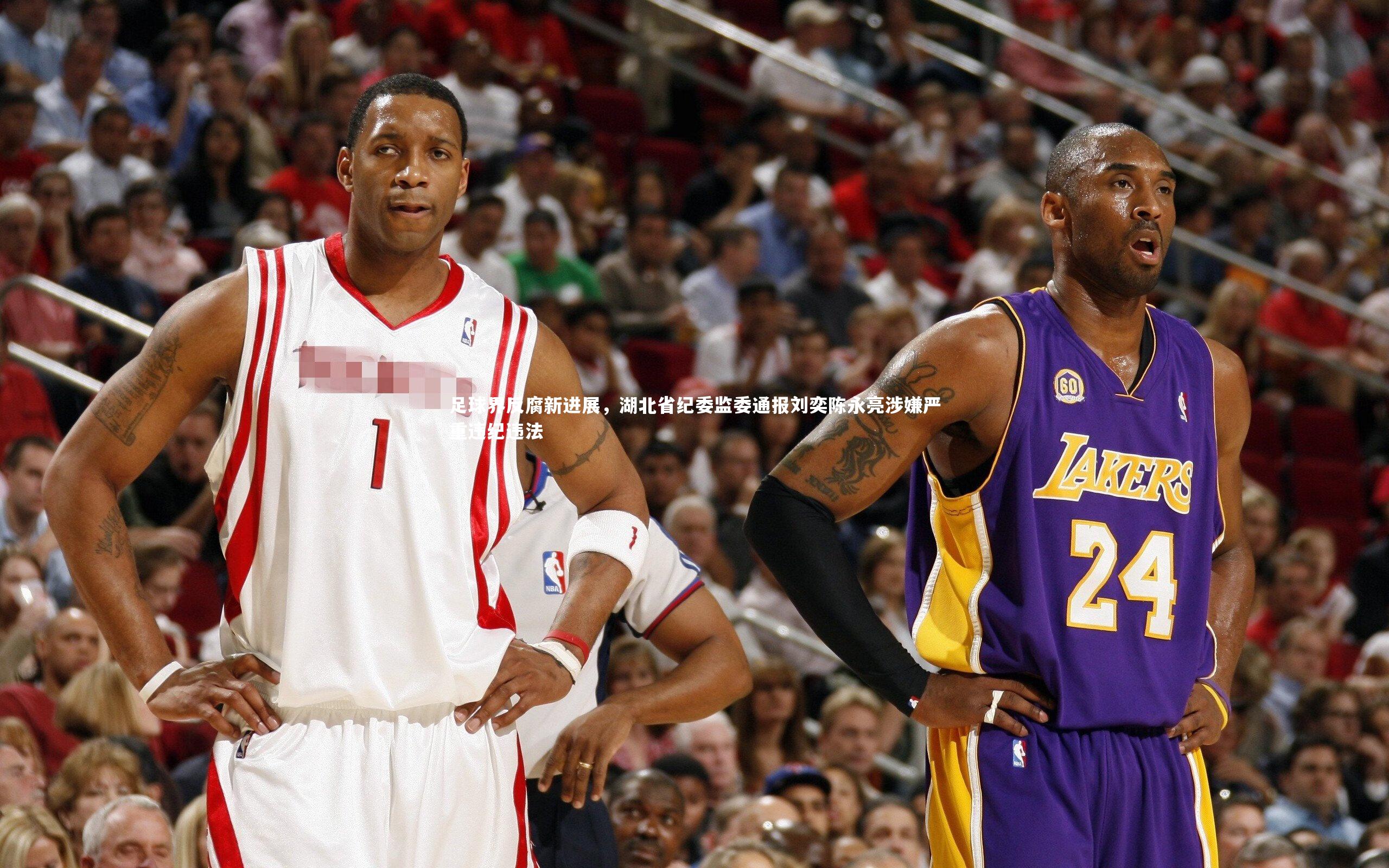 九游体育官方入口_足球界反腐新进展，湖北省纪委监委通报刘奕陈永亮涉嫌严重违纪违法