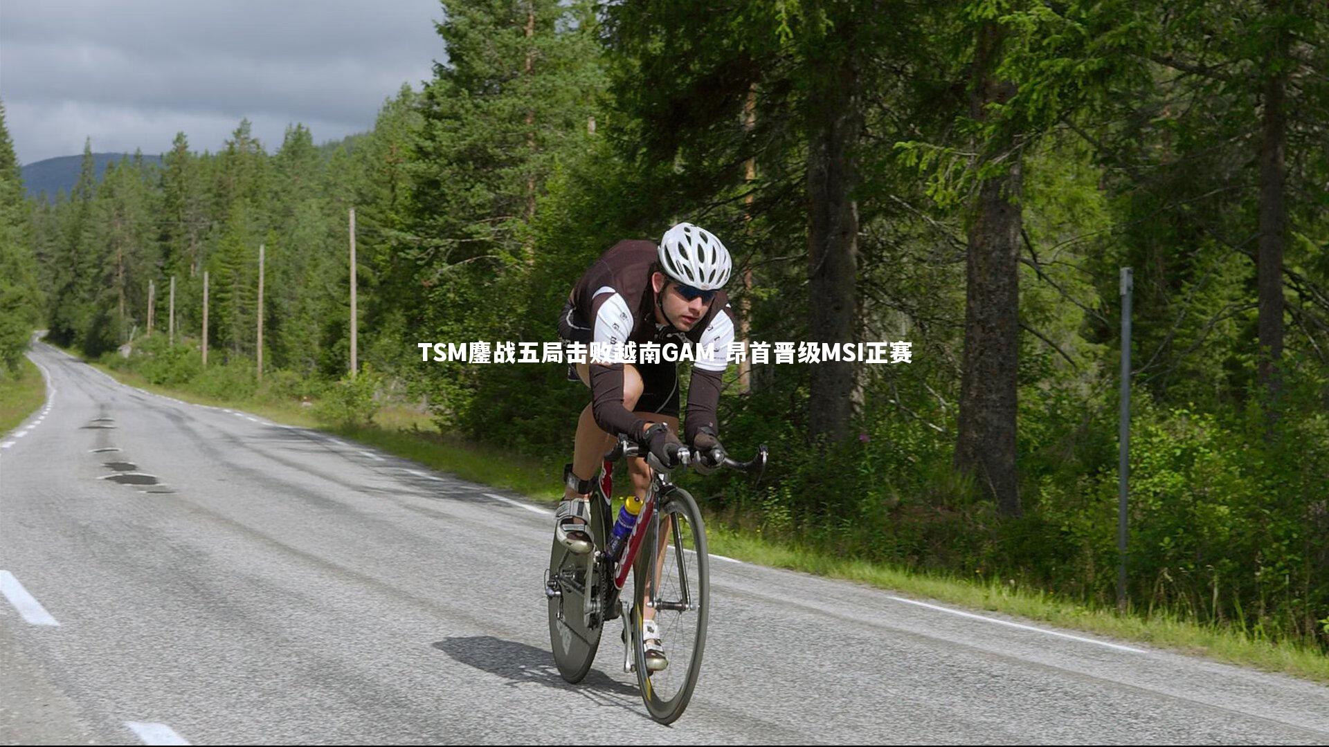 九游体育_TSM鏖战五局击败越南GAM 昂首晋级MSI正赛